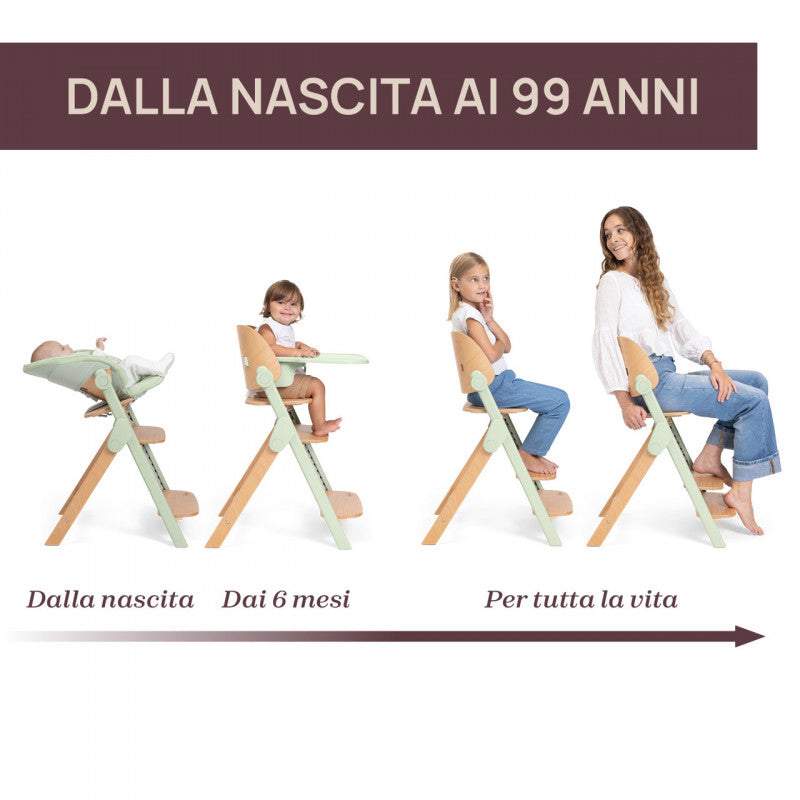 Sedia Evolutiva Chicco Meraviglia Fossil
