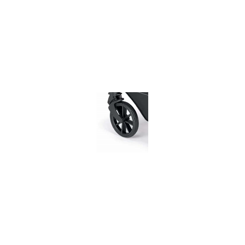 Ruota Anteriore Passeggino Trio Cam Dimanico