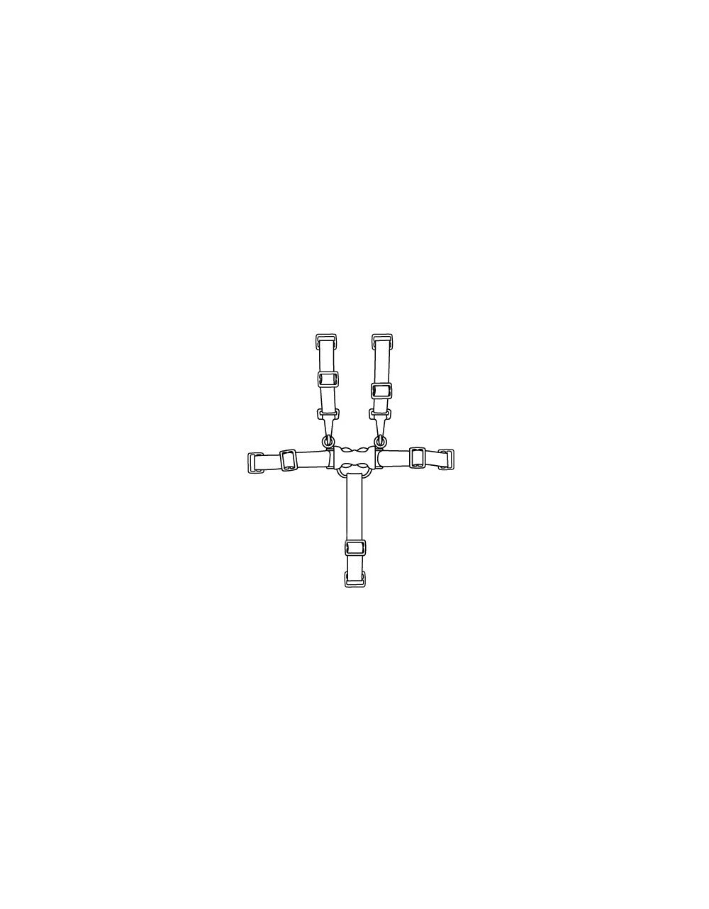 Kit Cinture Per Seggiolone Istante Cam